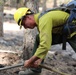 DoD Wildland Firefighting Response