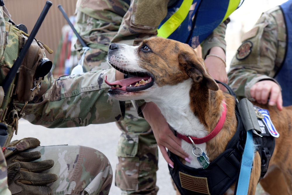 A new best friend for OAR volunteers unleashed