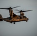 Osprey Arrive for Jaded Thunder