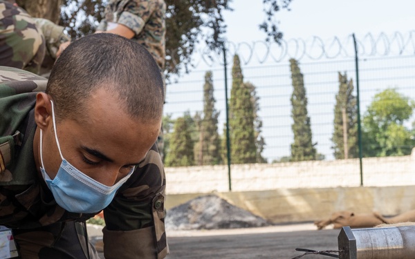 HMA 2021 Ordnance Dearmer Examinations