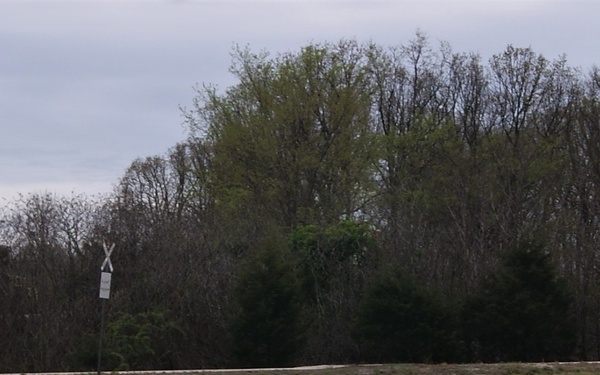 Transportation Soldiers Showcase Their Skills on Wheels during Truck Rodeo