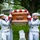 Military Funeral Honors Are Conducted For U.S. Navy Seaman 1st Class James C. Williams in Section 33