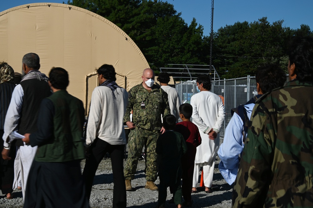 Task Force Liberty prepares immunizations