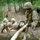 OCS SULE III Course