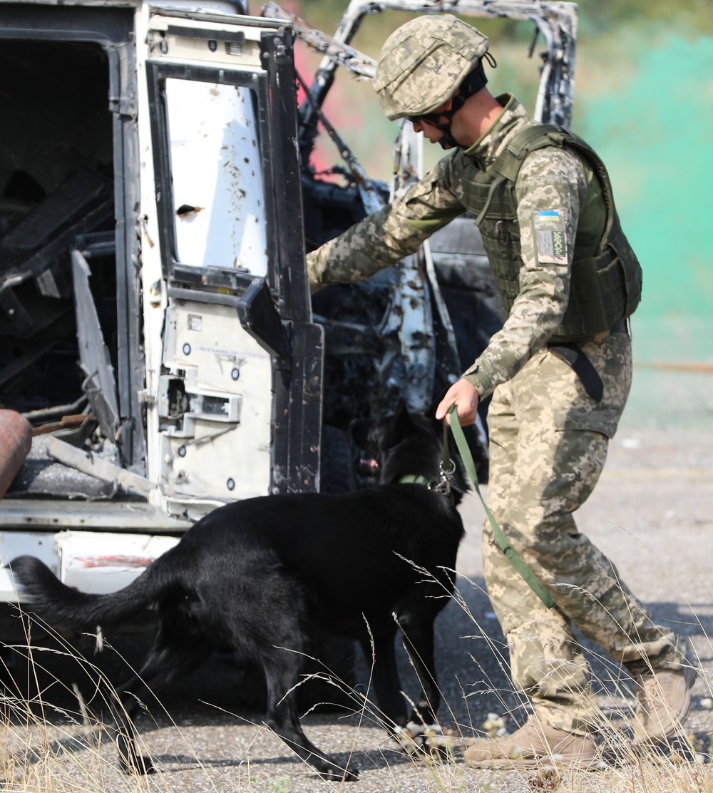 Operation Rehearsal Exercise Level II concludes at Djakova Air Base
