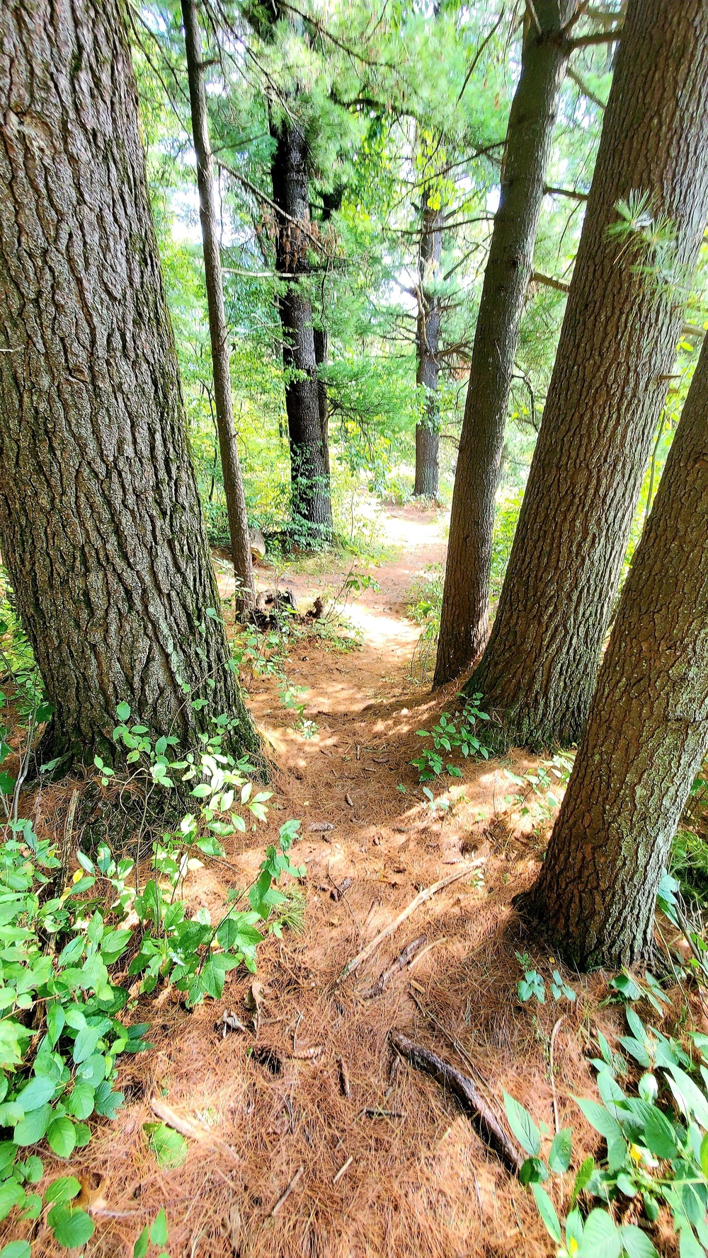 Fort McCoy's Pine View Recreation Area