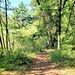 Fort McCoy's Pine View Recreation Area