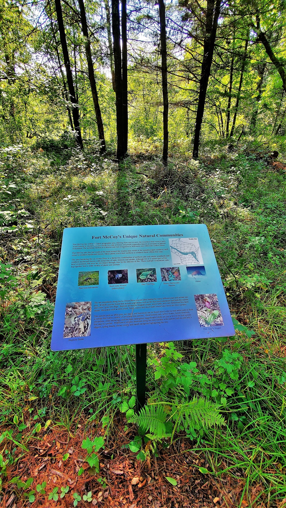 Fort McCoy's Pine View Recreation Area