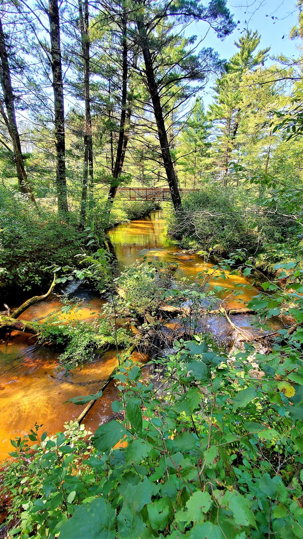 Fort McCoy's Pine View Recreation Area