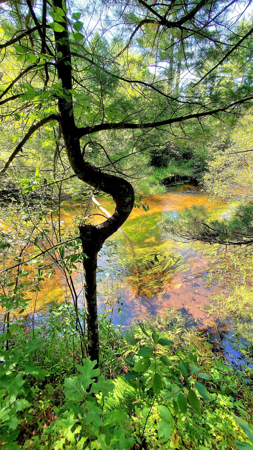 Fort McCoy's Pine View Recreation Area