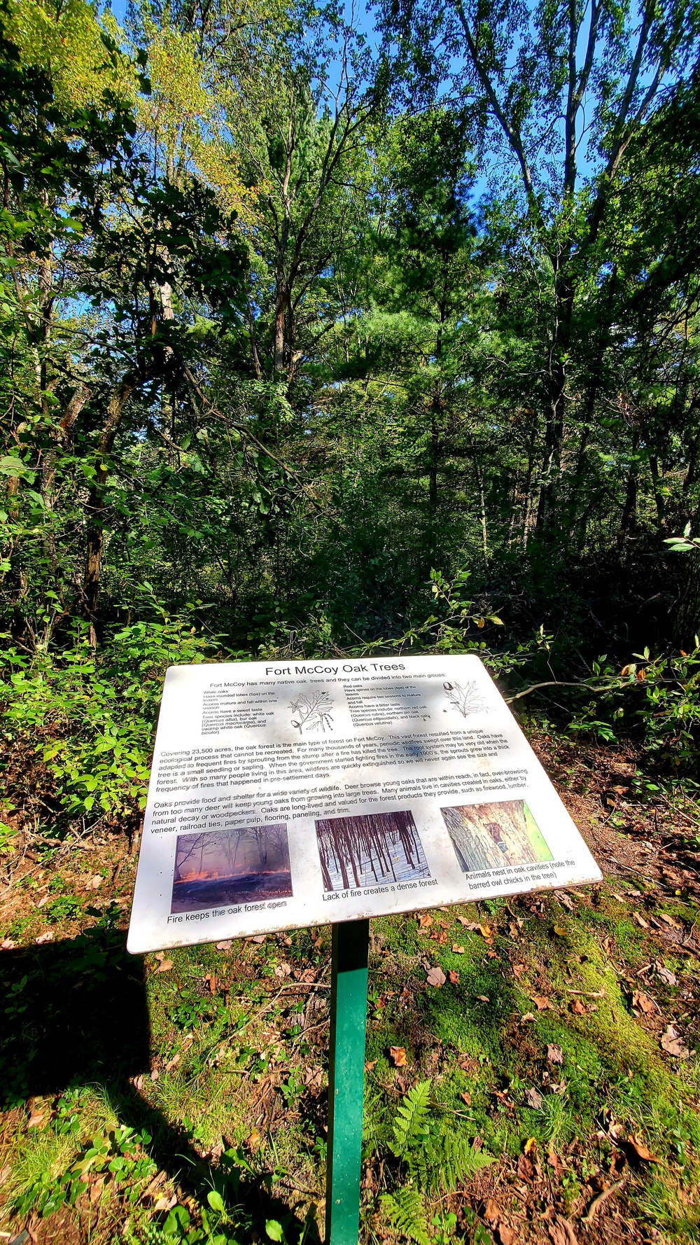 Fort McCoy's Pine View Recreation Area