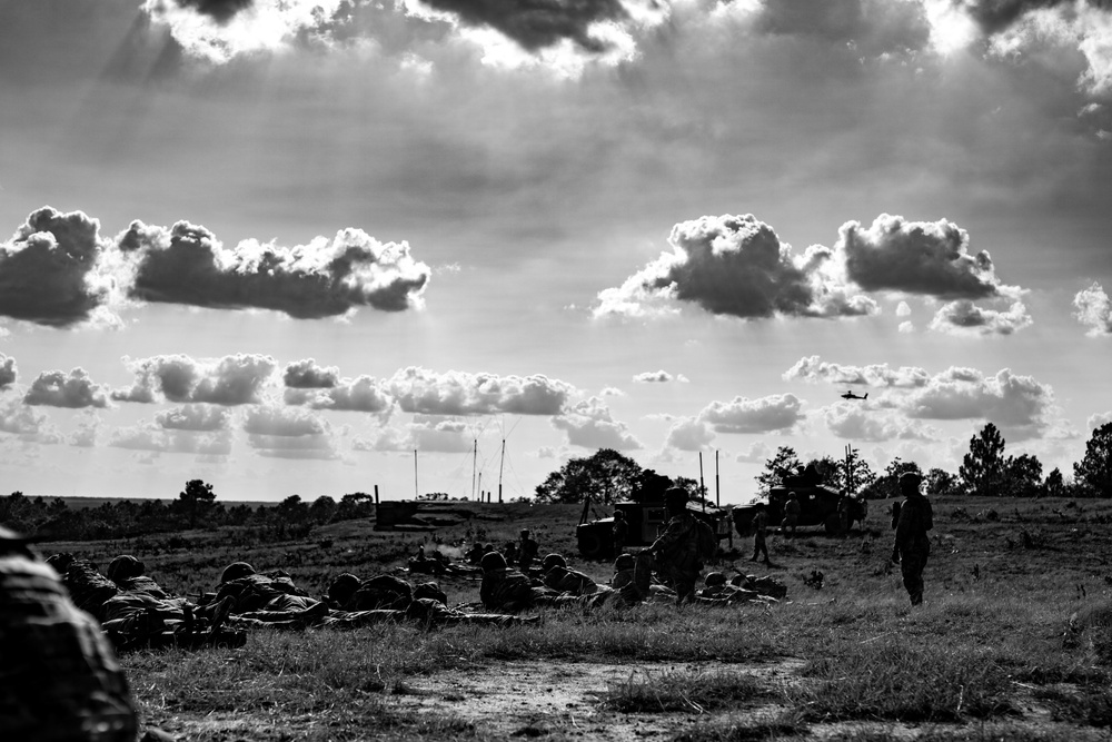 3rd Brigade Combat Team CALFEX