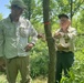 Corps collaborates to inoculate trees against Dutch elm disease