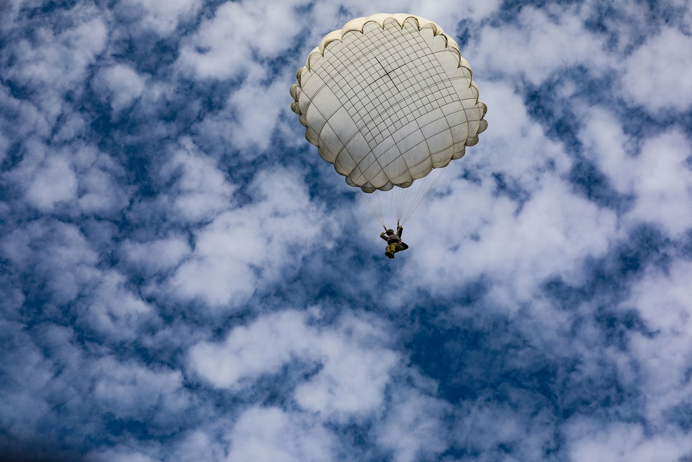Texas Army National Guard Soldiers participate in NATO exercise Falcon Leap