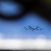 Two U.S. B-52s conducts operations in Pacific