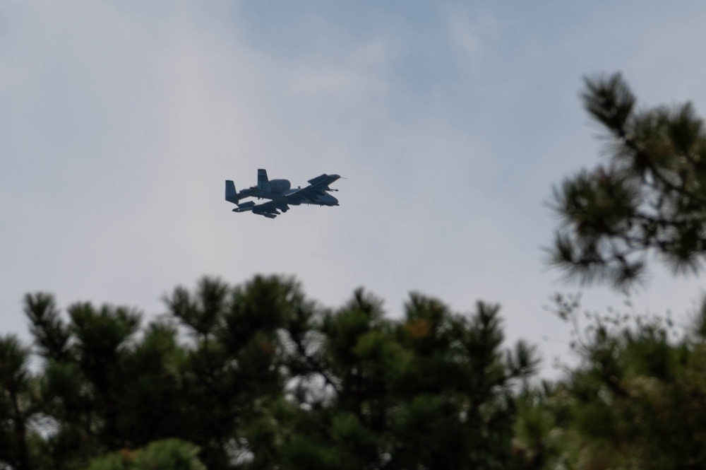 An A-10 Thunderbolt II &quot;Warthog&quot; prepares to land at Osan Air Base