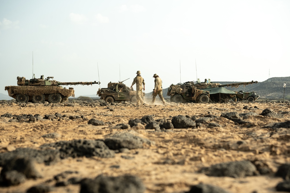 U.S. service members attempt French Desert Commando Course in Africa