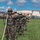 III MEF Conducts SPIE rig Training