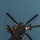 III MEF Conducts SPIE rig Training