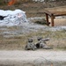 Exercise Rock Klescman 2021