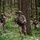 Exercise Rock Klescman 2021