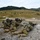 Exercise Rock Klescman 2021