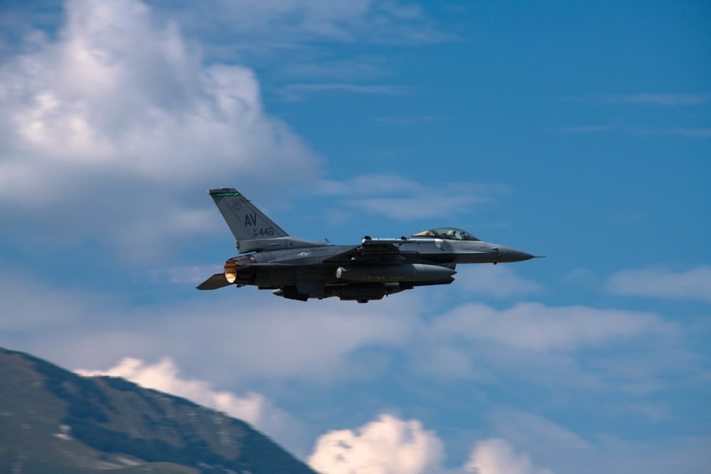 31 FW conducts ACE training during Agile Wyvern
