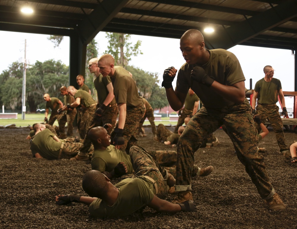 RS Lansing recruit completes martial arts training at Parris Island