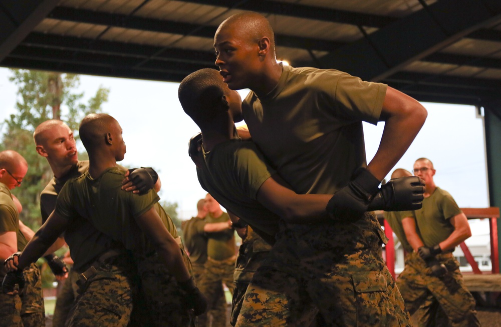 RS Lansing recruit completes martial arts training at Parris Island