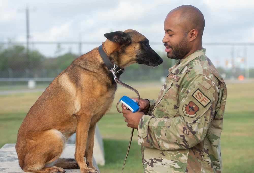 Military Working Dogs: JBSA's four-legged defenders
