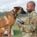 Military Working Dogs: JBSA's four-legged defenders