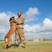 Military Working Dogs: JBSA's four-legged defenders