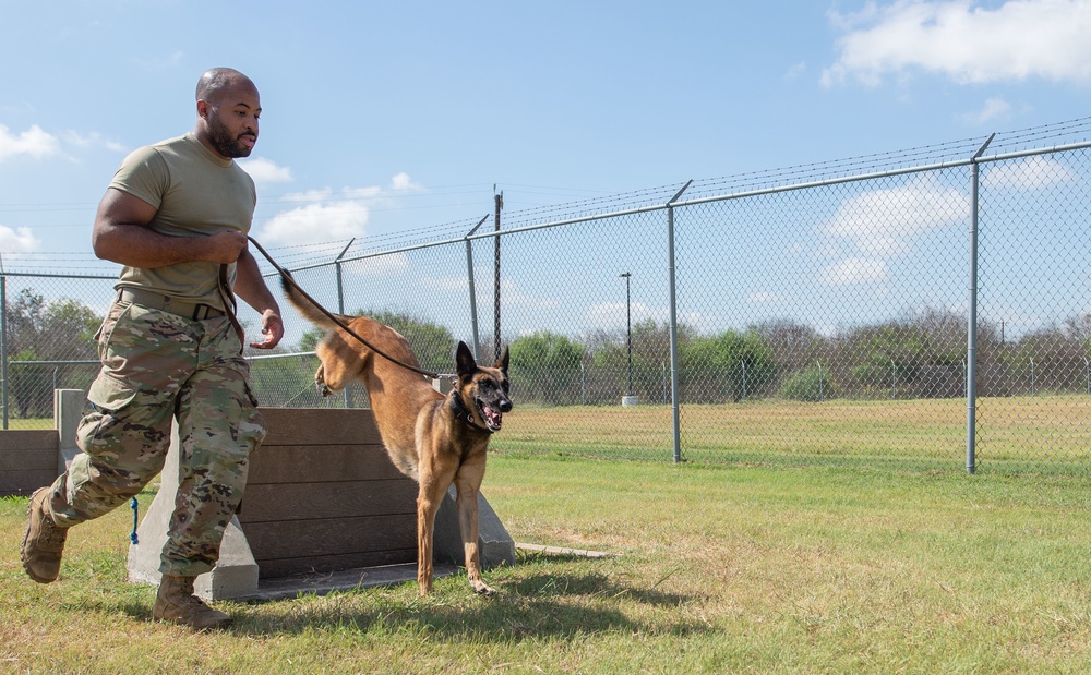 Military Working Dogs: JBSA's four-legged defenders