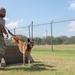 Military Working Dogs: JBSA's four-legged defenders