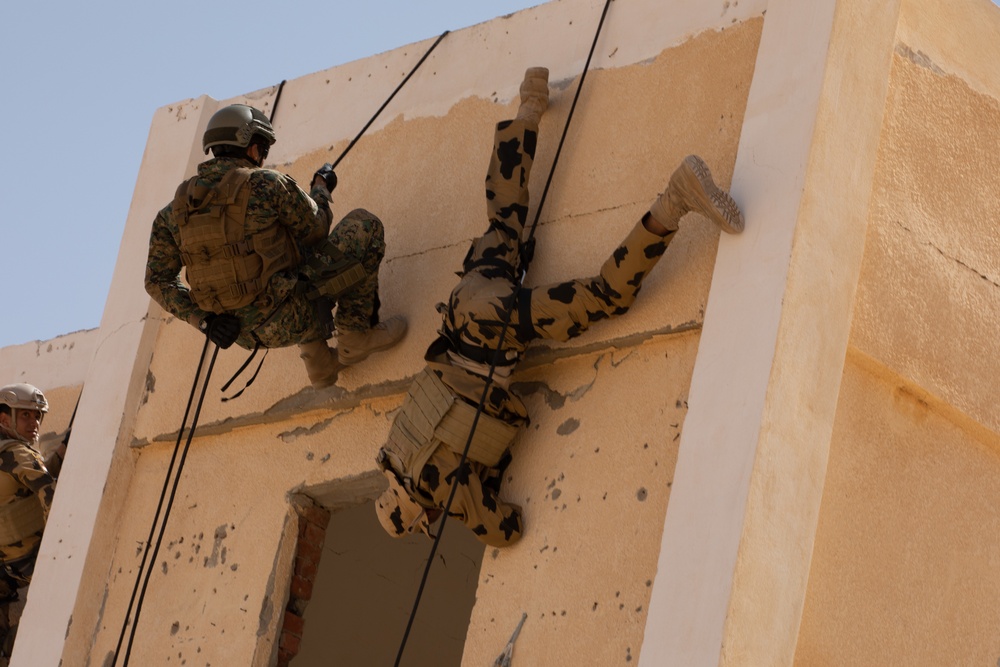 Military Operations in Urban Terrain (MOUT/rehearsal)- U.S., Egyptian and multinational partners rehearse combined arms scenarios during Bright Star 21