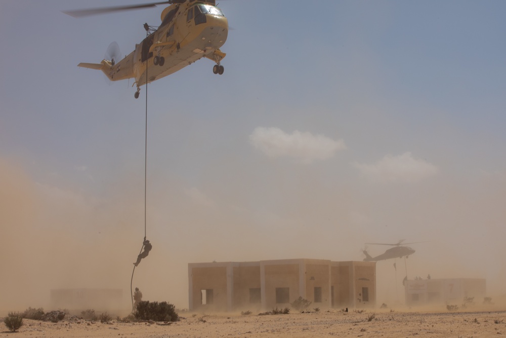 Military Operations in Urban Terrain (MOUT/rehearsal)- U.S., Egyptian and multinational partners rehearse combined arms scenarios during Bright Star 21