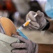 Task Force McCoy Hosts Mass Vaccination Campaign
