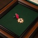 COL Geoffrey Norman Award Ceremony [Image 4 of 4]