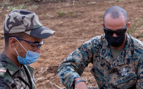 HMA 2021 Mk 2 Mod 1 assembly and utilization