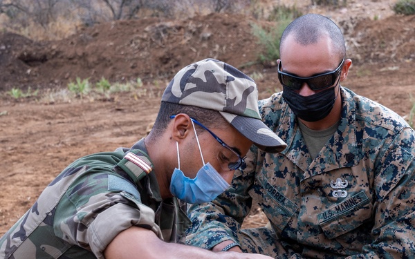 HMA 2021 Mk 2 Mod 1 assembly and utilization