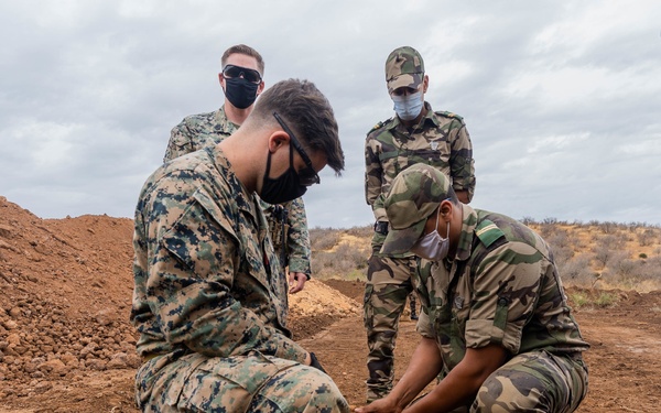 HMA 2021 Mk 2 Mod 1 assembly and utilization