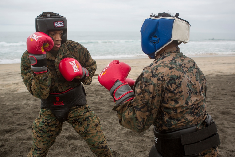 DVIDS Images Marine Martial Arts Instructor Course [Image 6 of 8]