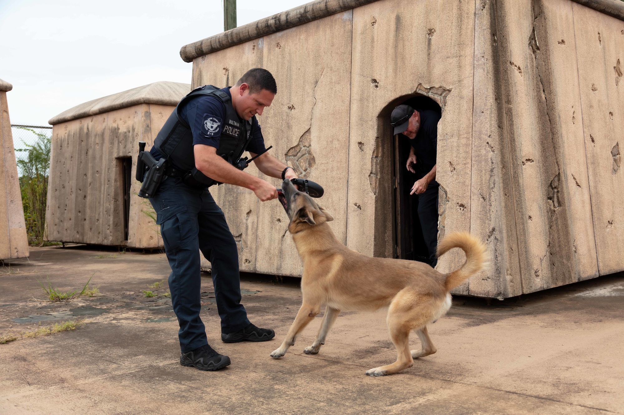 k9 training ga