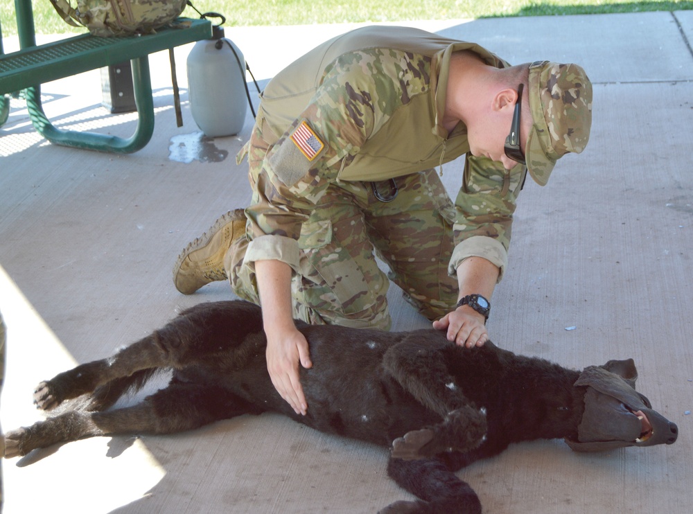 Home team wins Carson MWD event