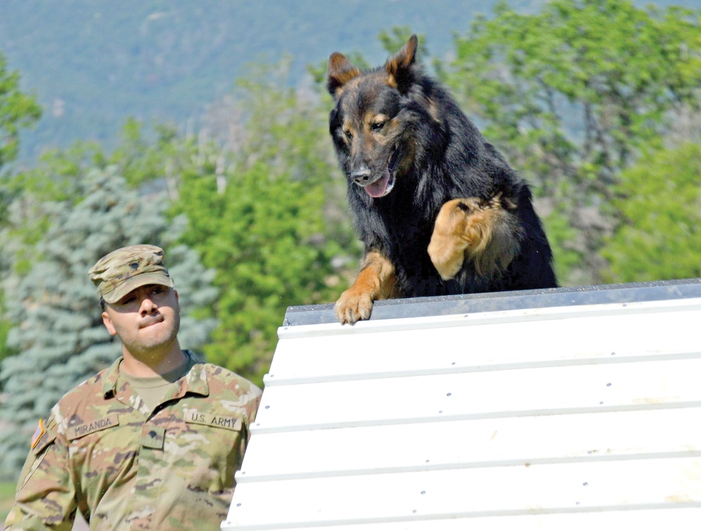 Home team wins Carson MWD event