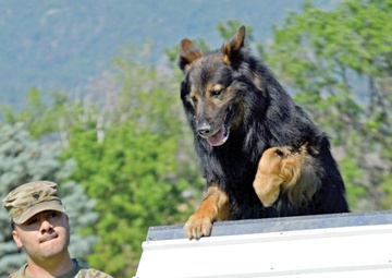 Home team wins Carson MWD event