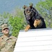 Home team wins Carson MWD event