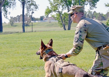 Home team wins Carson MWD event