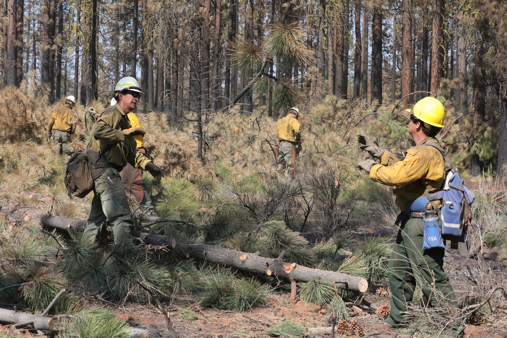 23rd BEB Soldiers conduct forest recovery