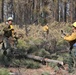 23rd BEB Soldiers conduct forest recovery